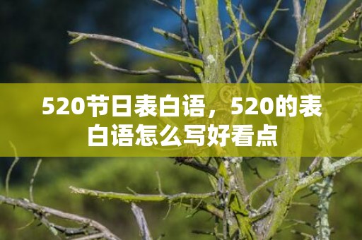 520节日表白语，520的表白语怎么写好看点