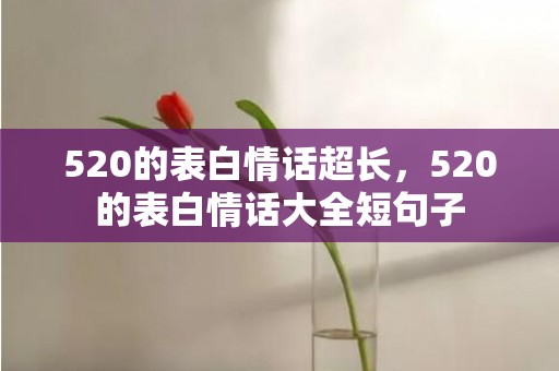 520的表白情话超长，520的表白情话大全短句子
