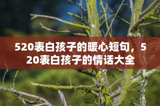 520表白孩子的暖心短句，520表白孩子的情话大全