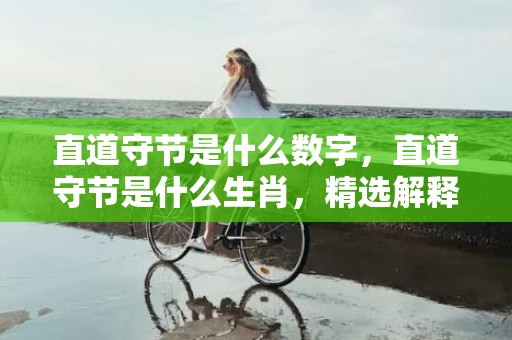 直道守节是什么数字，直道守节是什么生肖，精选解释落实