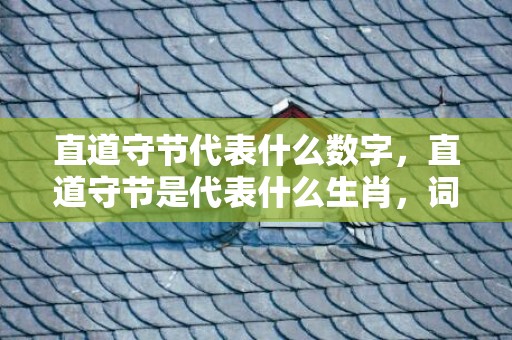 直道守节代表什么数字，直道守节是代表什么生肖，词语解释落实