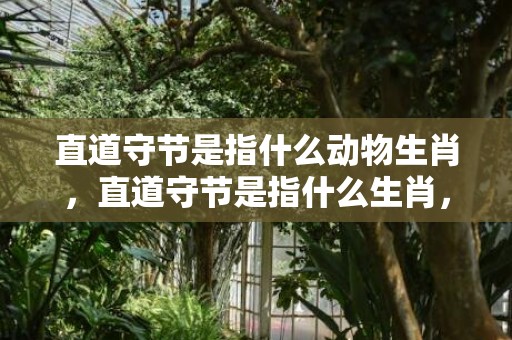 直道守节是指什么动物生肖，直道守节是指什么生肖，精选解释落实