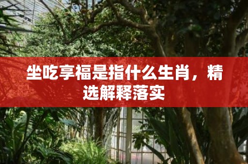 坐吃享福是指什么生肖，精选解释落实