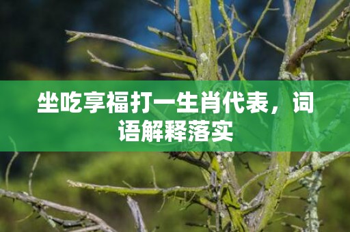 坐吃享福打一生肖代表，词语解释落实