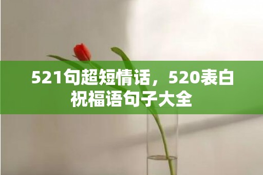 521句超短情话，520表白祝福语句子大全