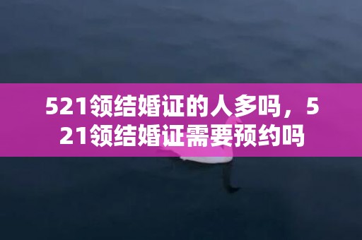 521领结婚证的人多吗，521领结婚证需要预约吗
