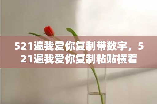 521遍我爱你复制带数字，521遍我爱你复制粘贴横着