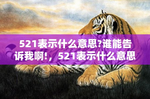 521表示什么意思?谁能告诉我啊!，521表示什么意思爱情含义