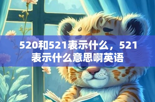 520和521表示什么，521表示什么意思啊英语