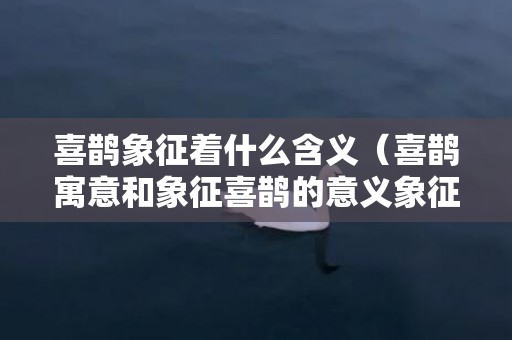 喜鹊象征着什么含义（喜鹊寓意和象征喜鹊的意义象征是什么）