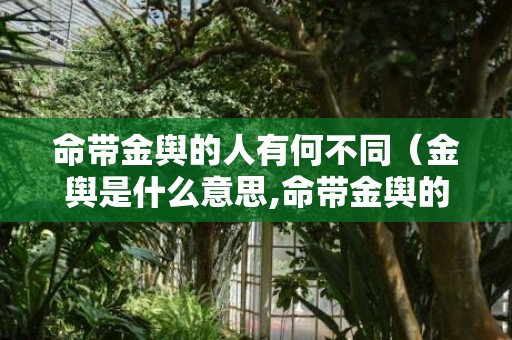 命带金舆的人有何不同（金舆是什么意思,命带金舆的人好吗?怎么看命带金舆）
