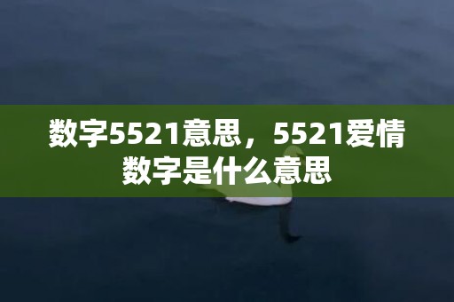 数字5521意思，5521爱情数字是什么意思