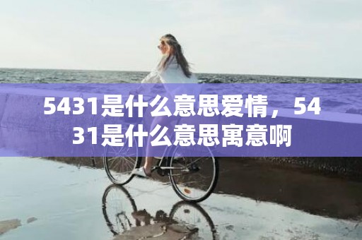 5431是什么意思爱情，5431是什么意思寓意啊