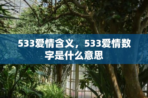 533爱情含义，533爱情数字是什么意思