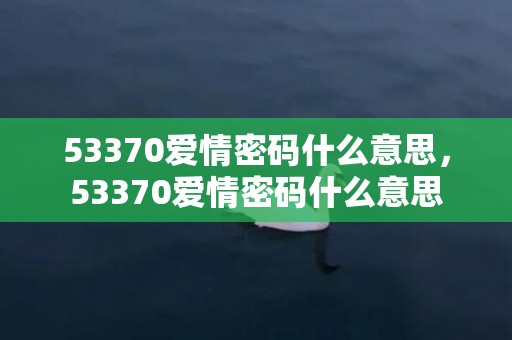 53370爱情密码什么意思，53370爱情密码什么意思