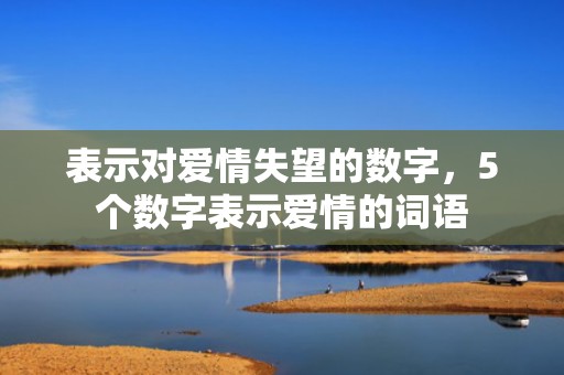 表示对爱情失望的数字，5个数字表示爱情的词语