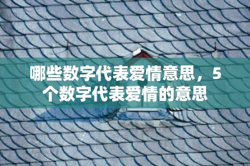 哪些数字代表爱情意思，5个数字代表爱情的意思