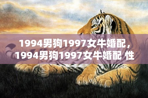 1994男狗1997女牛婚配，1994男狗1997女牛婚配 性格合适吗