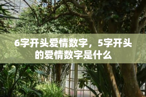 6字开头爱情数字，5字开头的爱情数字是什么