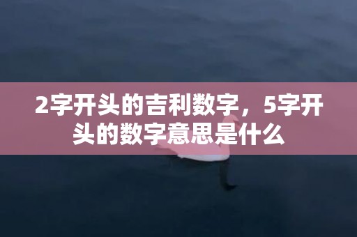 2字开头的吉利数字，5字开头的数字意思是什么
