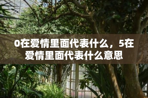 0在爱情里面代表什么，5在爱情里面代表什么意思