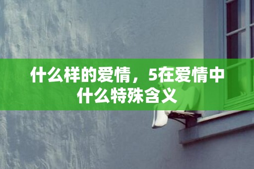什么样的爱情，5在爱情中什么特殊含义