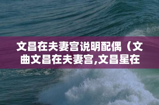 文昌在夫妻宫说明配偶（文曲文昌在夫妻宫,文昌星在夫妻宫配偶特点）