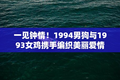 一见钟情！1994男狗与1993女鸡携手编织美丽爱情