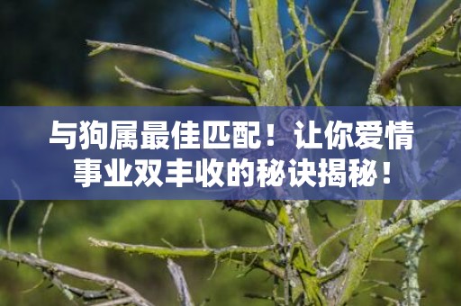 与狗属最佳匹配！让你爱情事业双丰收的秘诀揭秘！