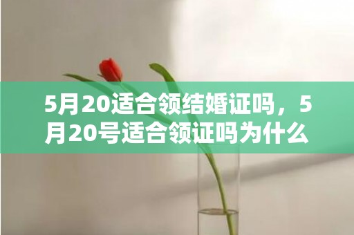 5月20适合领结婚证吗，5月20号适合领证吗为什么