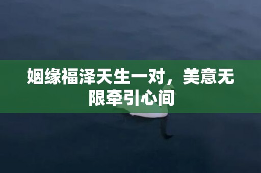 姻缘福泽天生一对，美意无限牵引心间