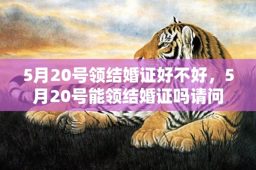 5月20号领结婚证好不好，5月20号能领结婚证吗请问