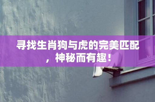 寻找生肖狗与虎的完美匹配，神秘而有趣！