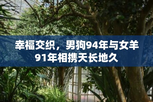 幸福交织，男狗94年与女羊91年相携天长地久