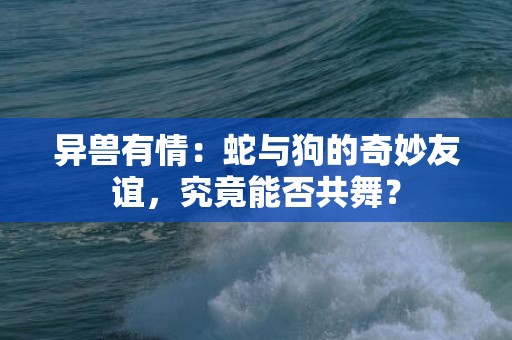 异兽有情：蛇与狗的奇妙友谊，究竟能否共舞？