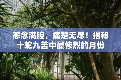怨念满腔，痛楚无尽！揭秘十蛇九苦中最惨烈的月份