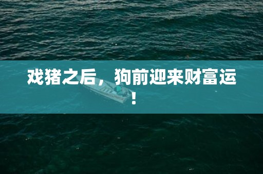 戏猪之后，狗前迎来财富运！