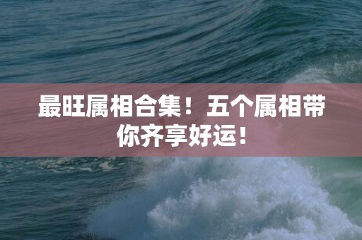 最旺属相合集！五个属相带你齐享好运！