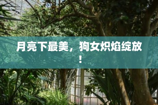 月亮下最美，狗女炽焰绽放！