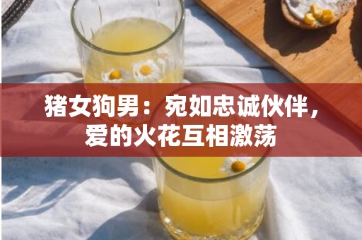 猪女狗男：宛如忠诚伙伴，爱的火花互相激荡
