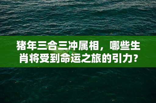 猪年三合三冲属相，哪些生肖将受到命运之旅的引力？