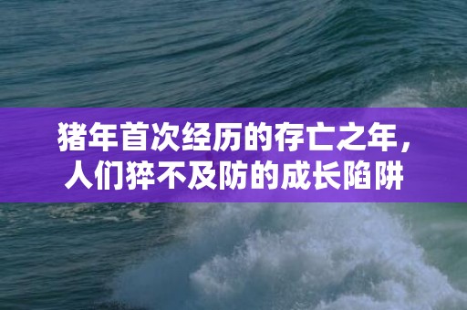 猪年首次经历的存亡之年，人们猝不及防的成长陷阱