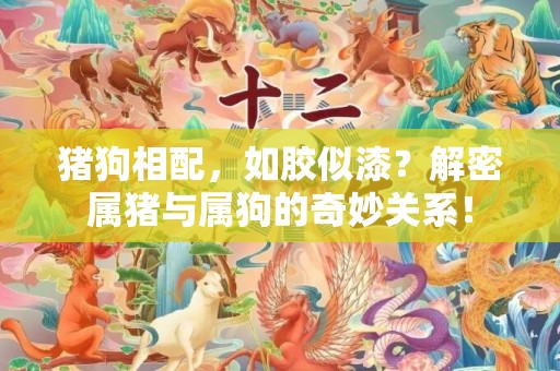 猪狗相配，如胶似漆？解密属猪与属狗的奇妙关系！