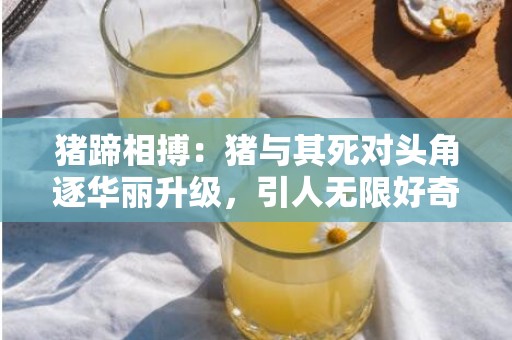 猪蹄相搏：猪与其死对头角逐华丽升级，引人无限好奇！