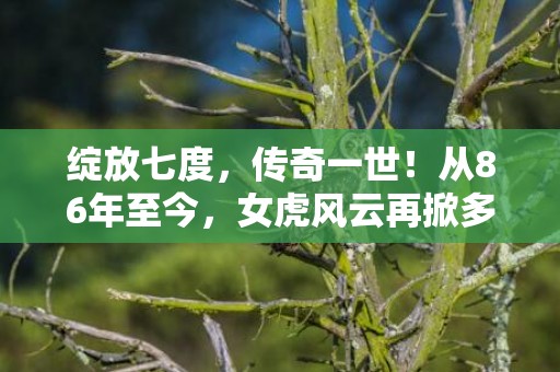 绽放七度，传奇一世！从86年至今，女虎风云再掀多次婚姻之纷争