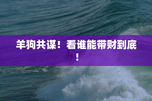 羊狗共谋！看谁能带财到底！