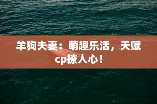 羊狗夫妻：萌趣乐活，天赋cp撩人心！