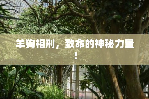 羊狗相刑，致命的神秘力量！