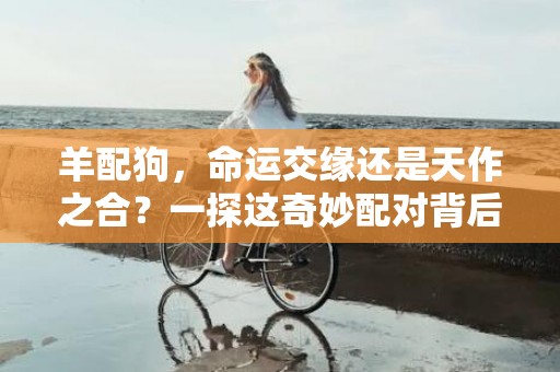 羊配狗，命运交缘还是天作之合？一探这奇妙配对背后的秘密！