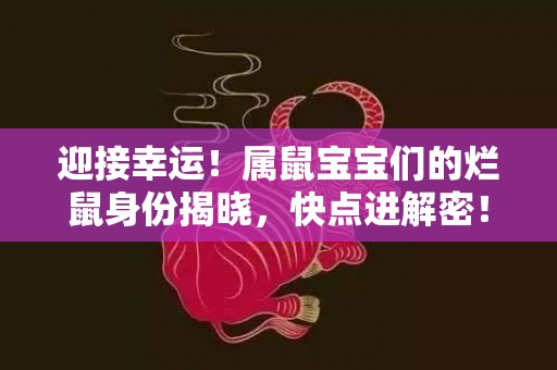 迎接幸运！属鼠宝宝们的烂鼠身份揭晓，快点进解密！